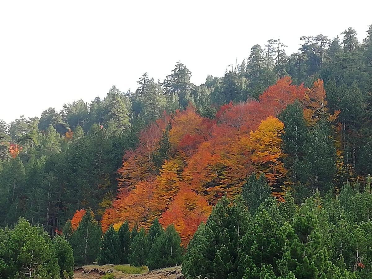 Mystic Lake Koukkouli Luaran gambar